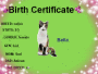 Birth Certificate 
