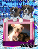 Puppy Love