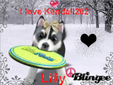 Lilly Lilly