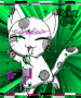 kitty