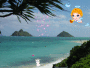 A Happy New Year at Kailua