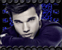 Taylor Lautner