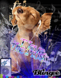 music pup!