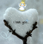 winter 'o9