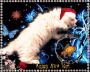 Gangsta- Cat, happy New Year!