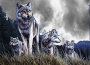 The Pack
