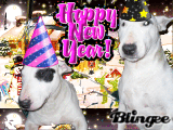 happy new year