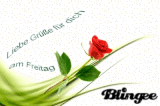 Freitagsgruß