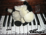 Angus loves music