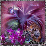 Image fantasia