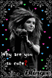 Why are you so cute?
