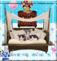 I love my cats 