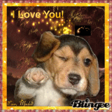 I Love You!