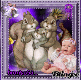 branka53