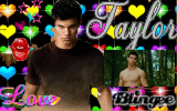 Taylor 
