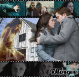 Bella & Edward x33