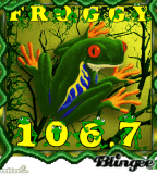 Froggy 106.7