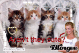 4 cuties 4 cuties