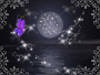fantasy night