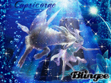 Capricorne