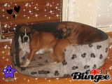 Alou and Bella
