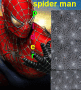 i like spiders 