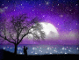 fantasy-night