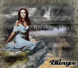 Breaking Dawn~the honeymoon
