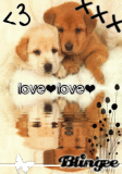 DOGS