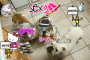 bdog party