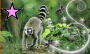 lemur