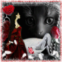 concours stamp 27 un monde merveilleux