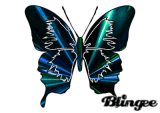 butterfly