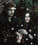 The Family Cullen