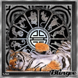 The Year of the Tiger