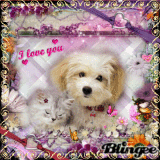 amitie'