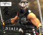 Ninja Ninja
