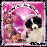HAPPY VALENTINES DAY!