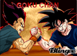 GOKUCHANFIRMA