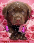 Be mine, little Dog!