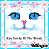 Eye Candy Of The Week