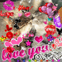 love  cat 