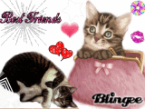 Chat Best Friends