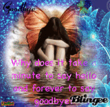 Goodbye to a friend...