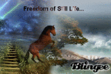 Freedom of still life