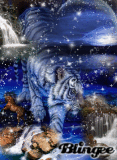 Tiger haven