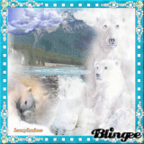 famille ours