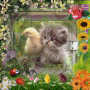 cuuuties ♥