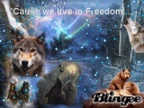 A Wolf night
