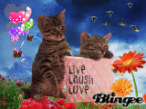 A Beautiful Spring Day